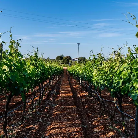 Le Dimore Crescenzio, Authentic Apulian Experience Ferienhaus